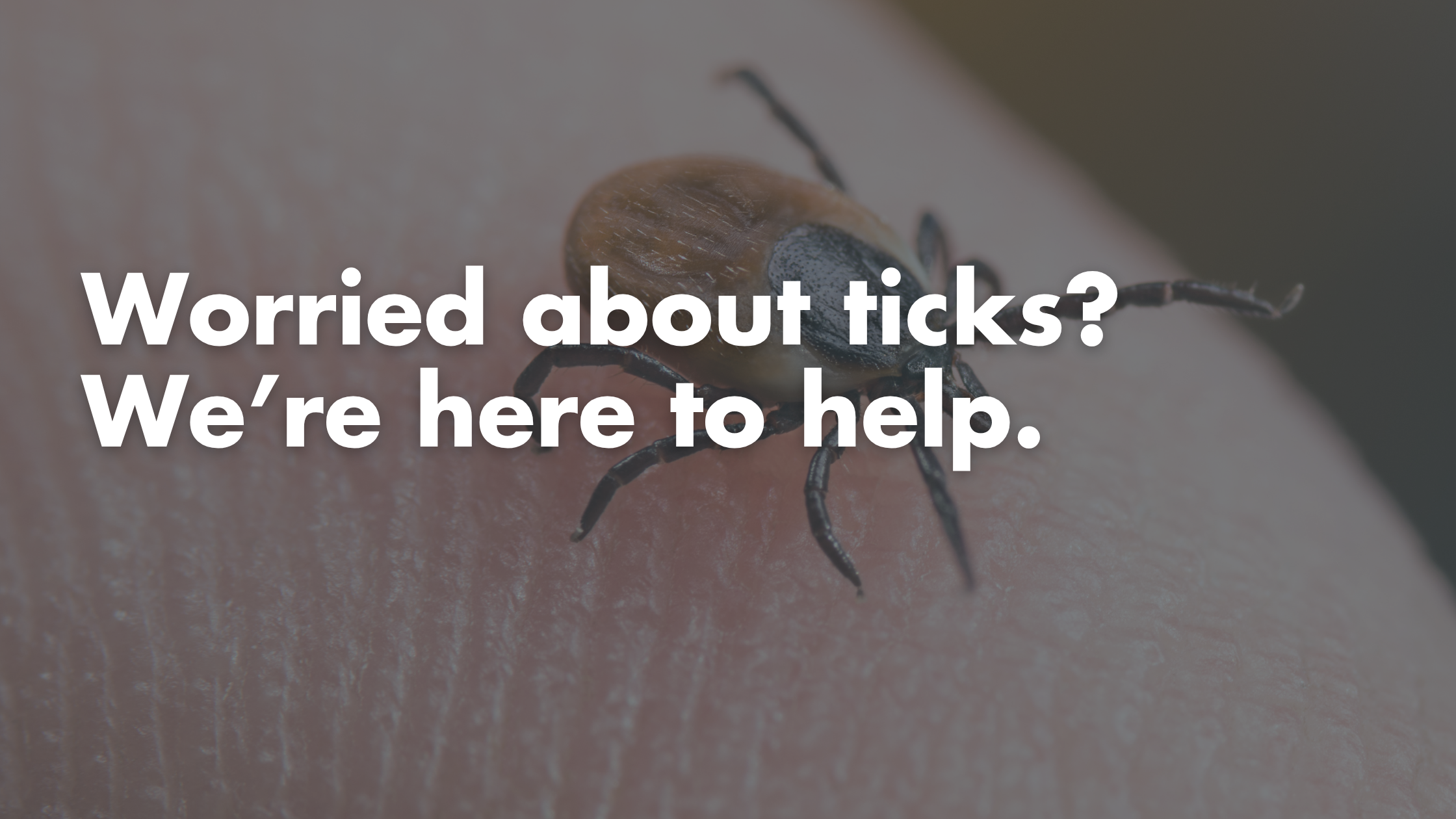 Tick Bite Tips Every Chicago Family Should Know